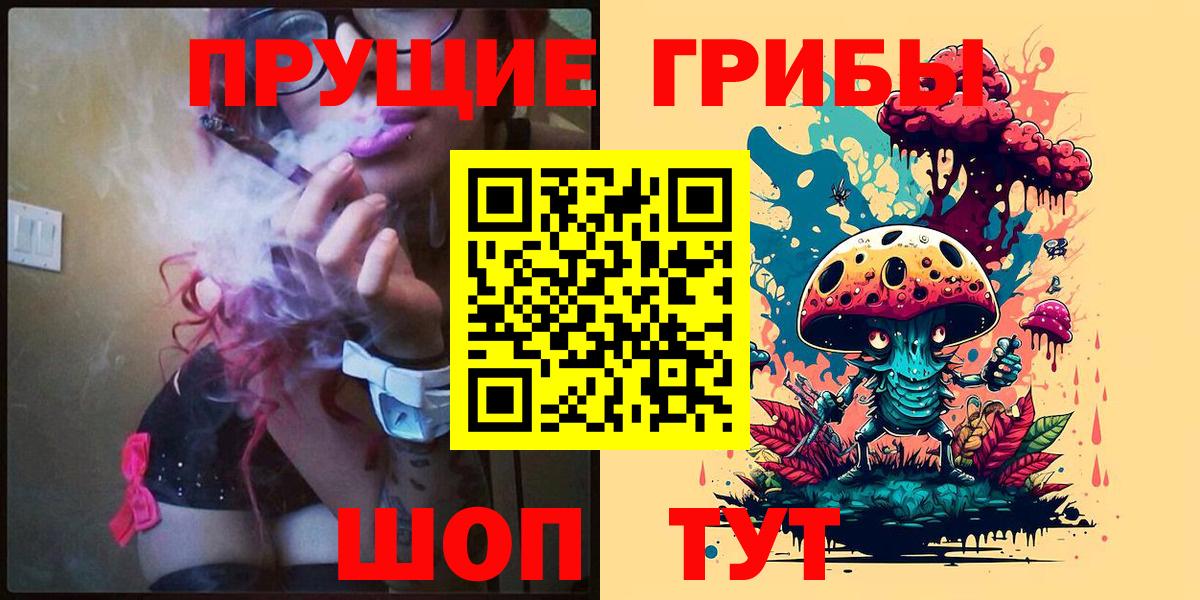 Галлюциногенные грибы Psilocybine cubensis Наро-Фоминск