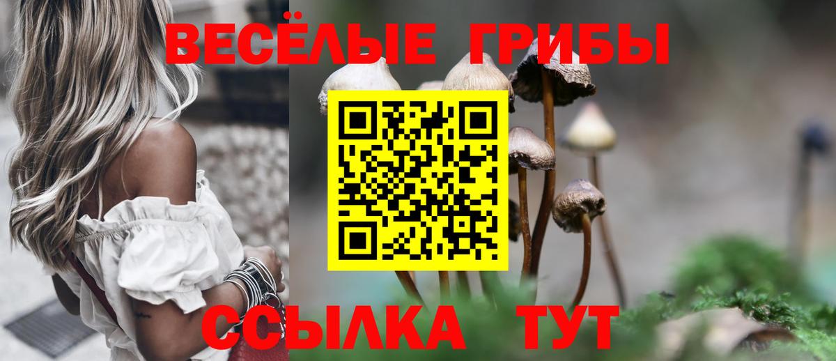 Псилоцибиновые грибы GOLDEN TEACHER  Вход с VPN  Наро-Фоминск 